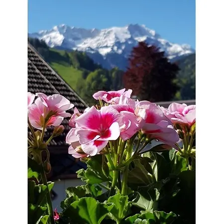 In Het Blauwe - Zolderverdieping Dom wakacyjny Garmisch-Partenkirchen