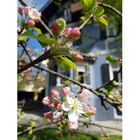 別荘 In Het Blauwe - Zolderverdieping